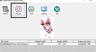single pass printer (4).jpg