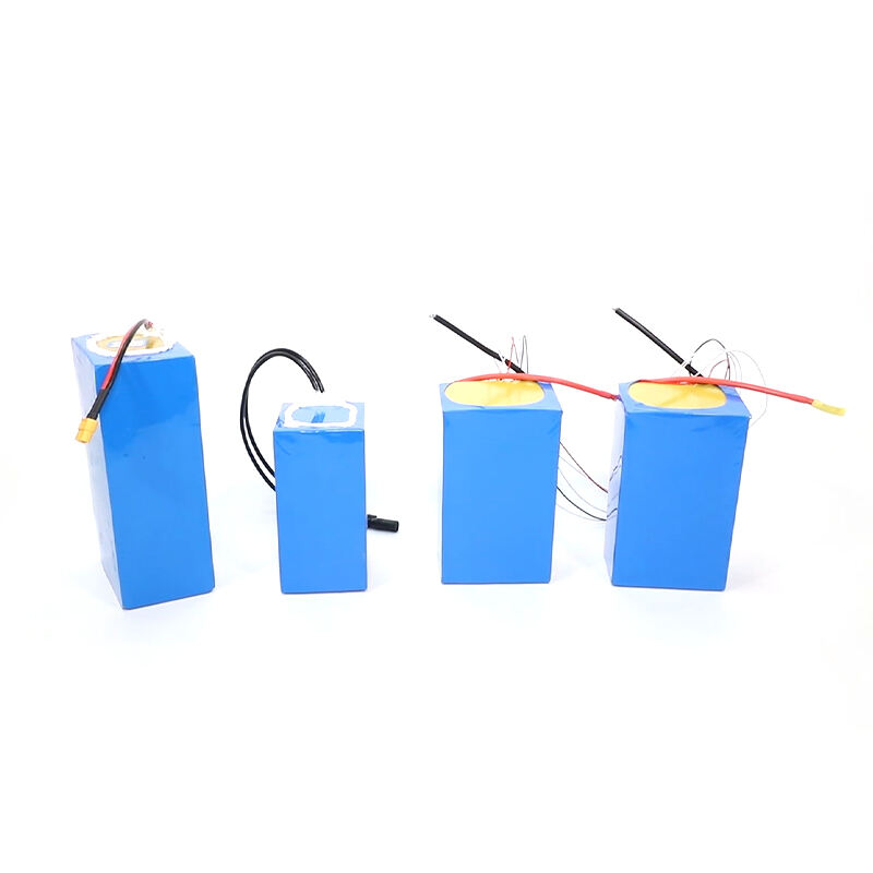 Customized E-bike Motorcycle Escooter Lithium Battery Pack 24V 36V 48V 60V 72V10Ah 12Ah 20Ah 30Ah Lithium lon Battery