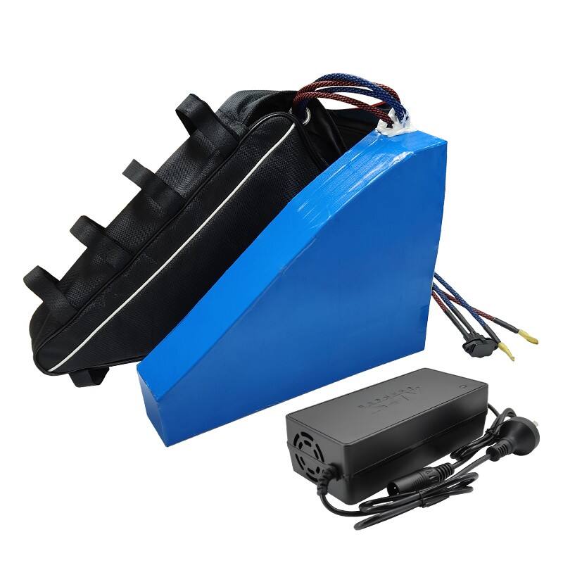 高出力カスタムE-Bikeバッテリーパック | 東莞中大