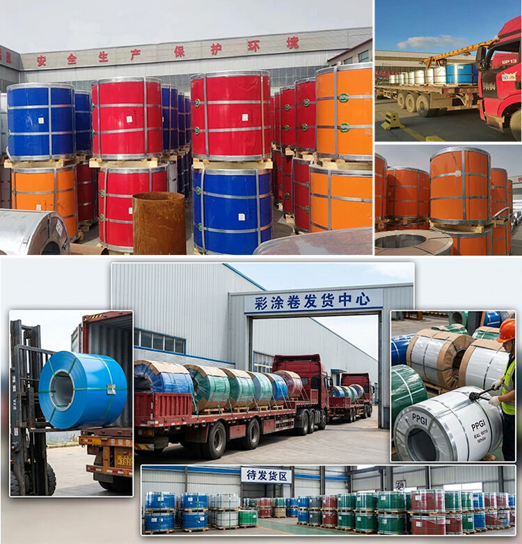 Customer Feedback from Mozambique and Brazil Highlights Steel Coil Quality