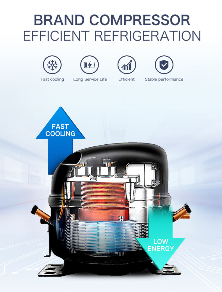 Z02详情英文 (3).jpg