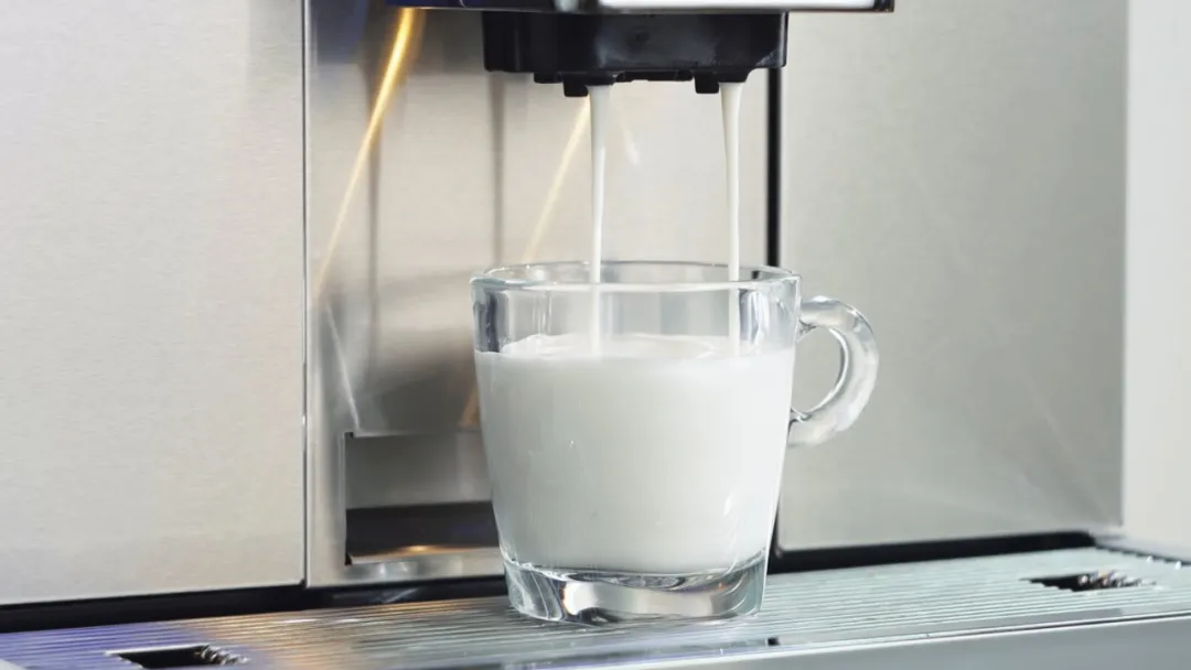 Máquina de Café Comercial com Função de Espumação a Vapor | BTB-301