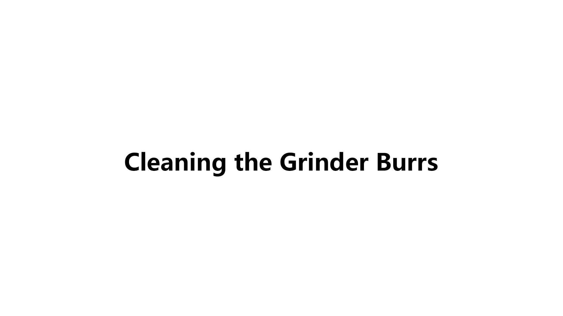 Cleaning the Grinder Burrs