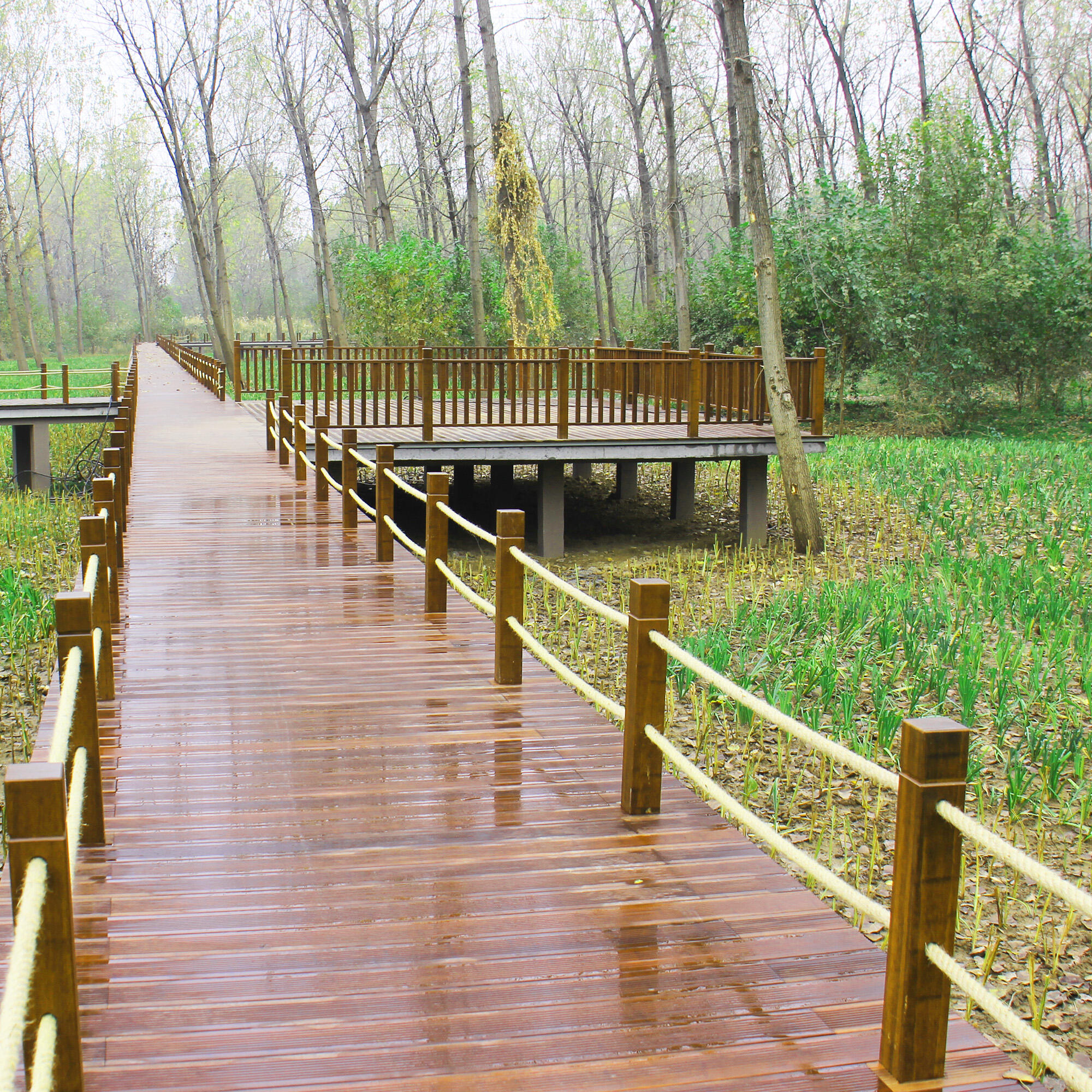 Riverside Landscape Park Floor