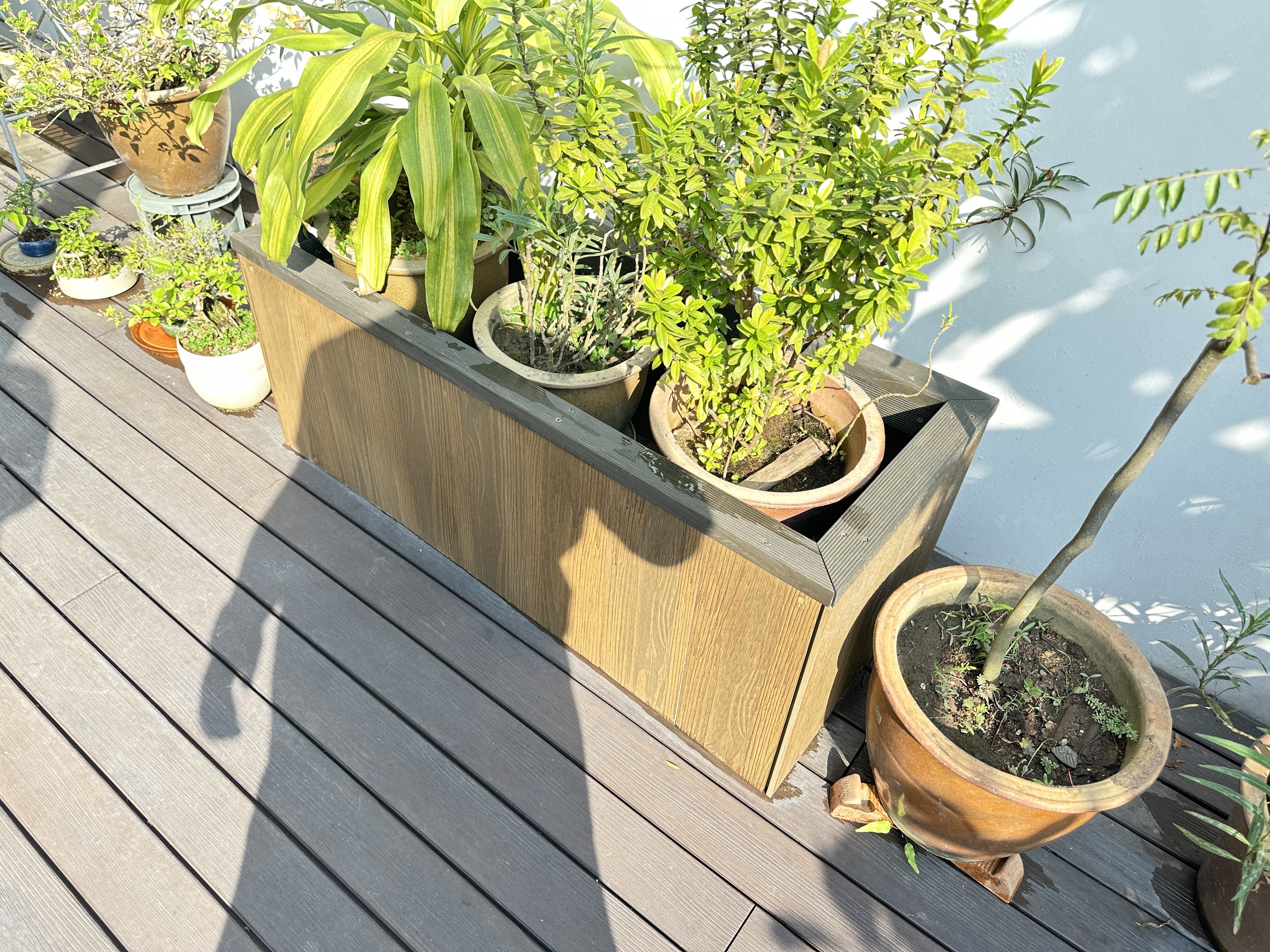 Singapore Garden Decking