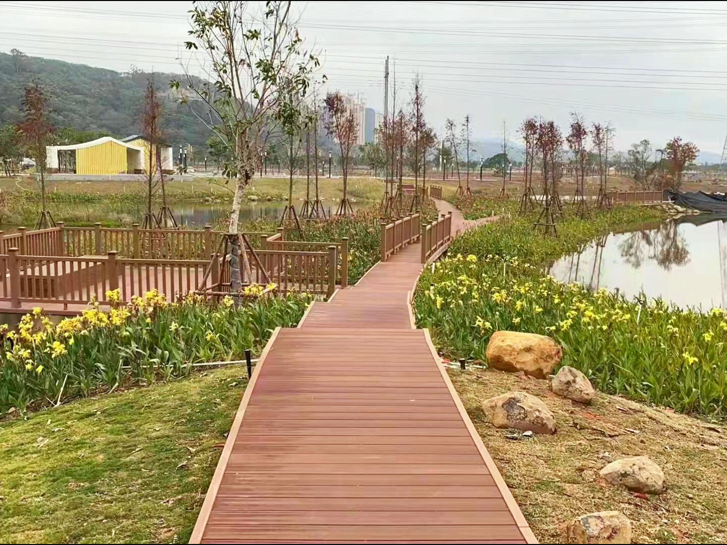 ブダペスト湿地のボードウォーク