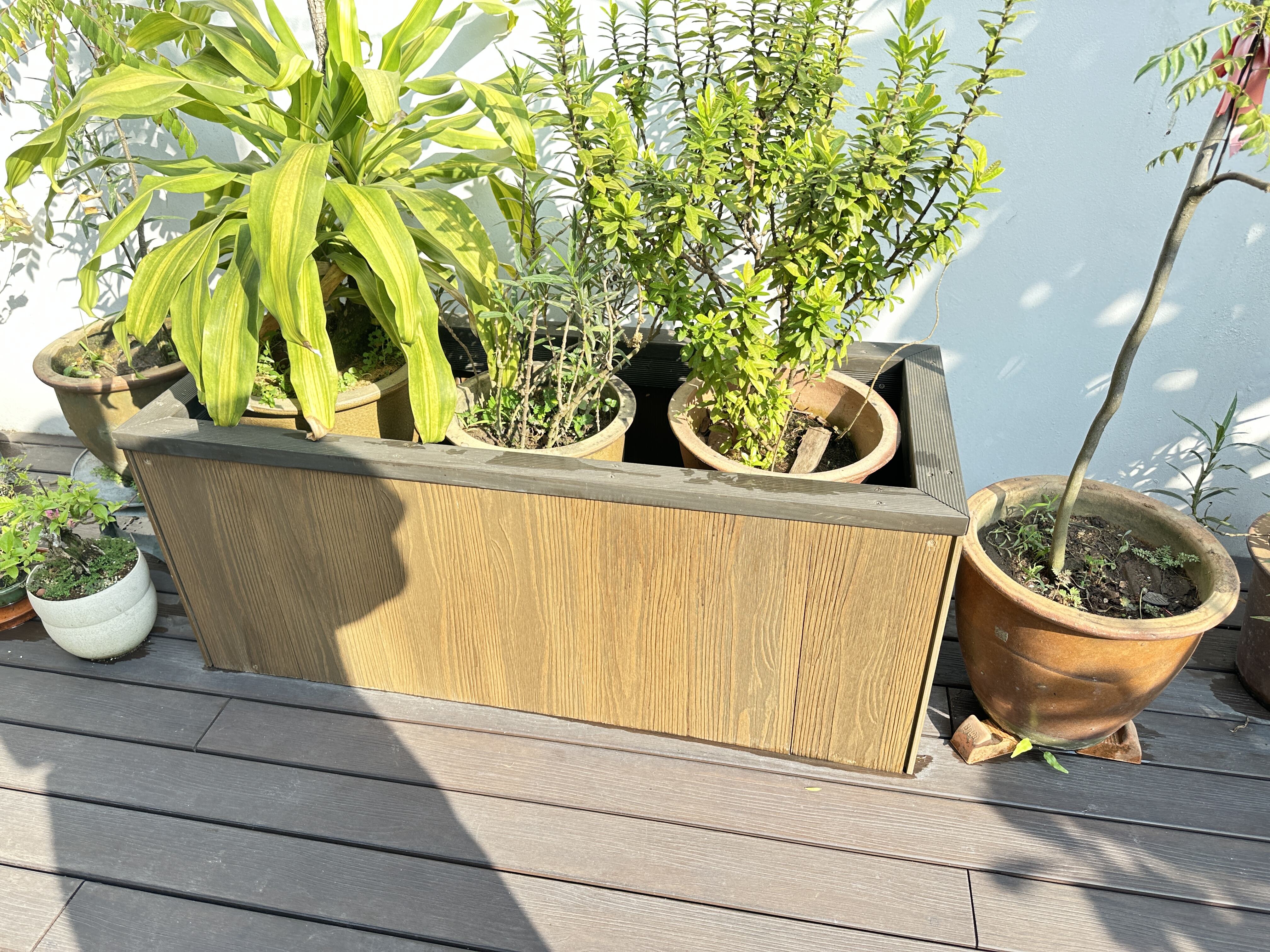 Singapore Garden Decking