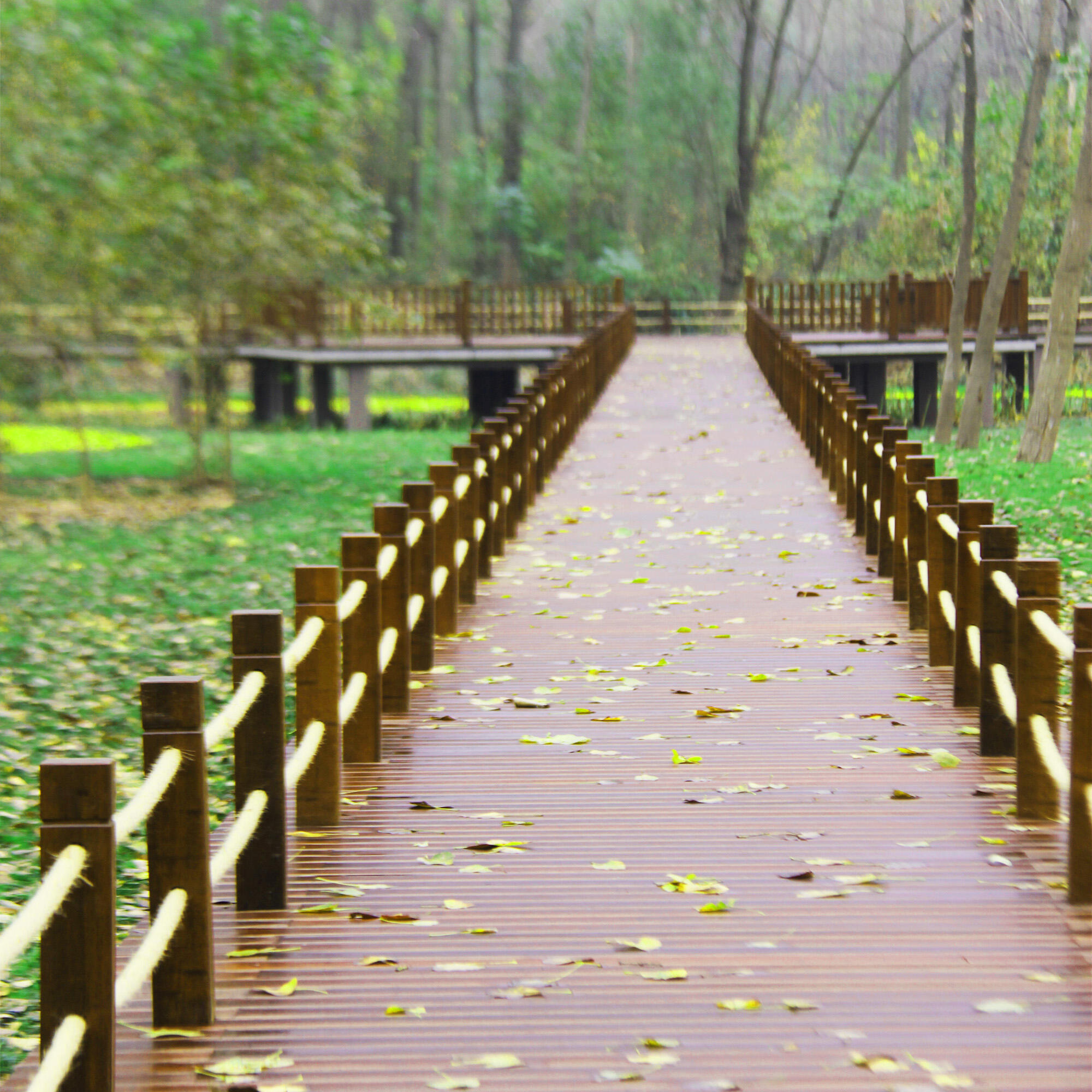 Riverside Landscape Park Floor