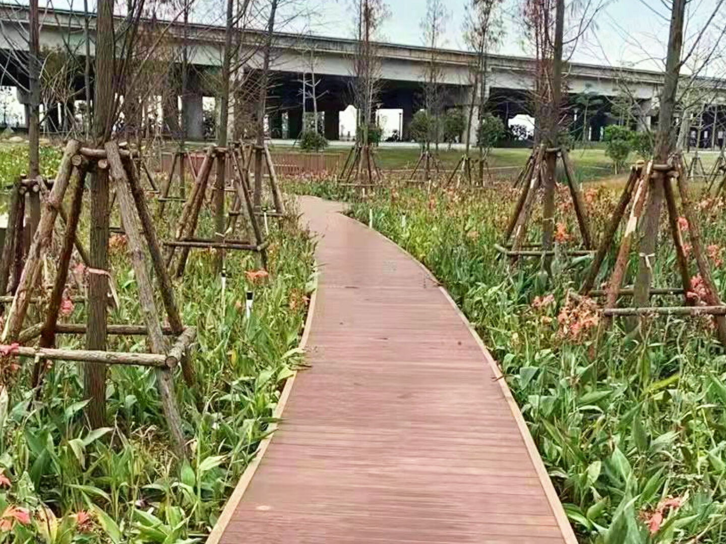 Πεζοδρόμιο Υγρότοπου Βουδαπέστης