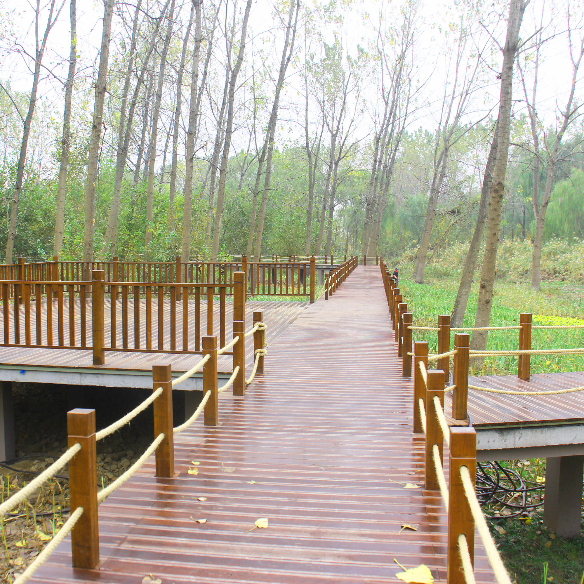 Riverside Landscape Park Floor