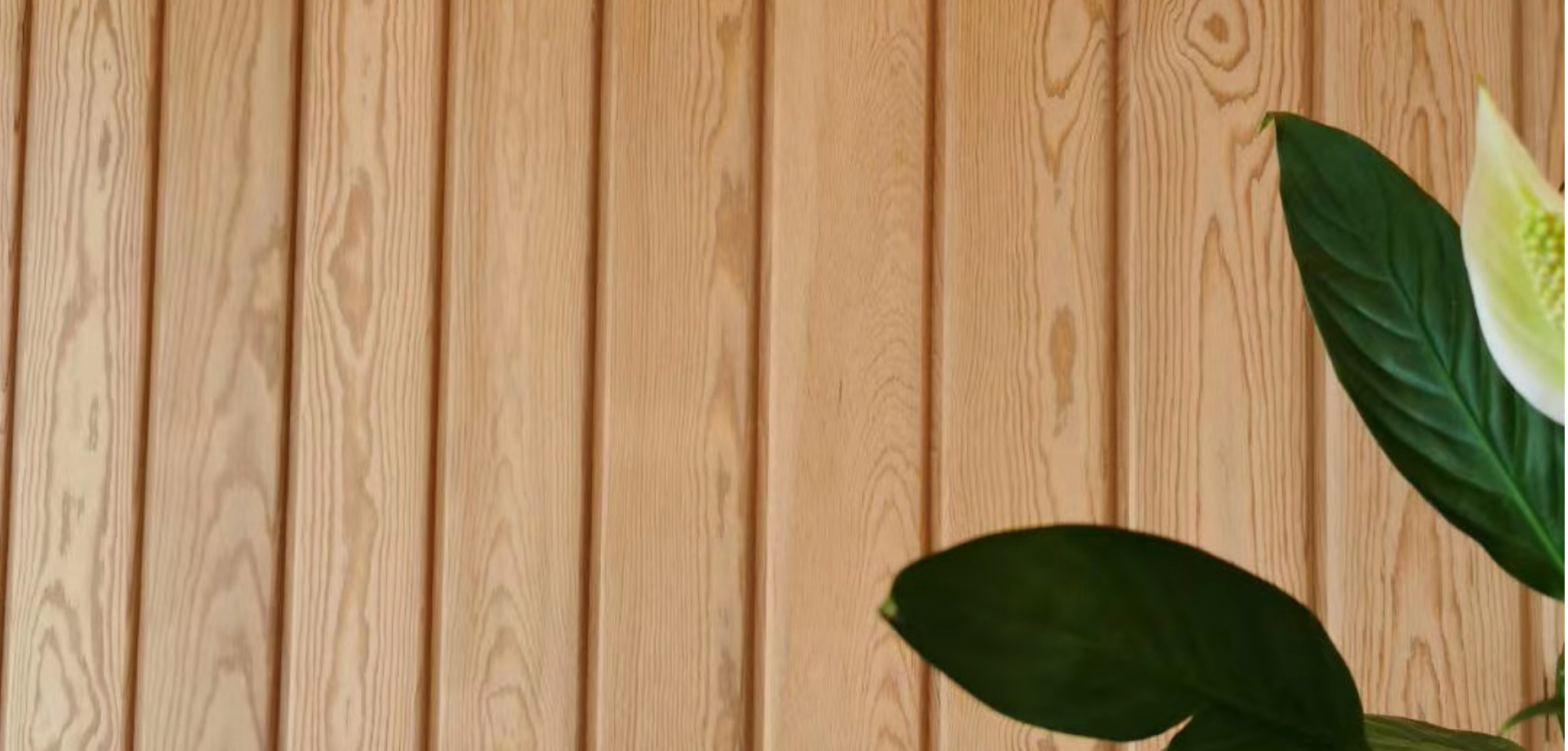 Decoración interior  