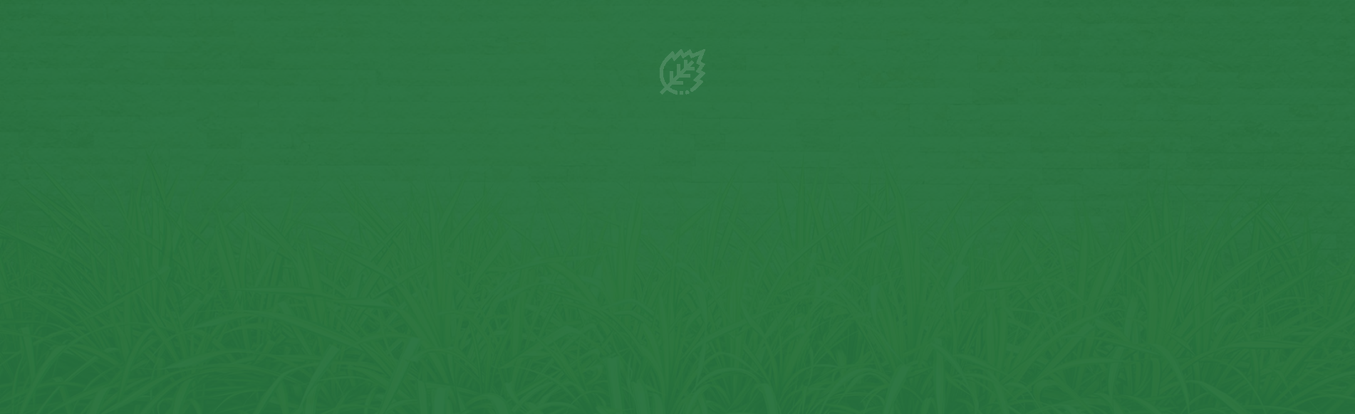 background picture