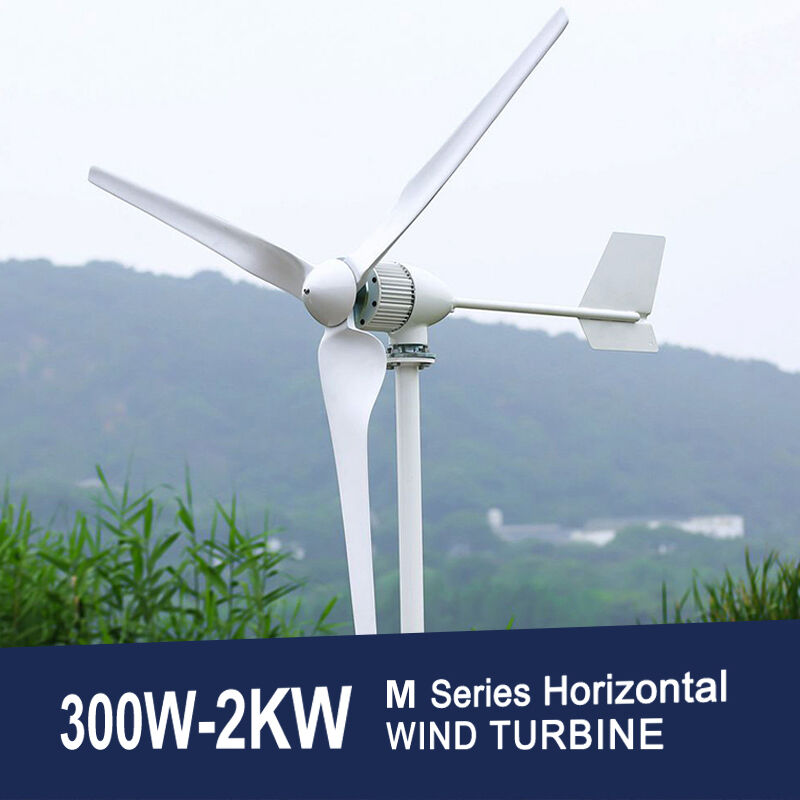 مولد هوائي كفؤ بمحور أفقي 1000 واط 24V 48V 96V للمنازل في فترة التخفيضات الساخنة