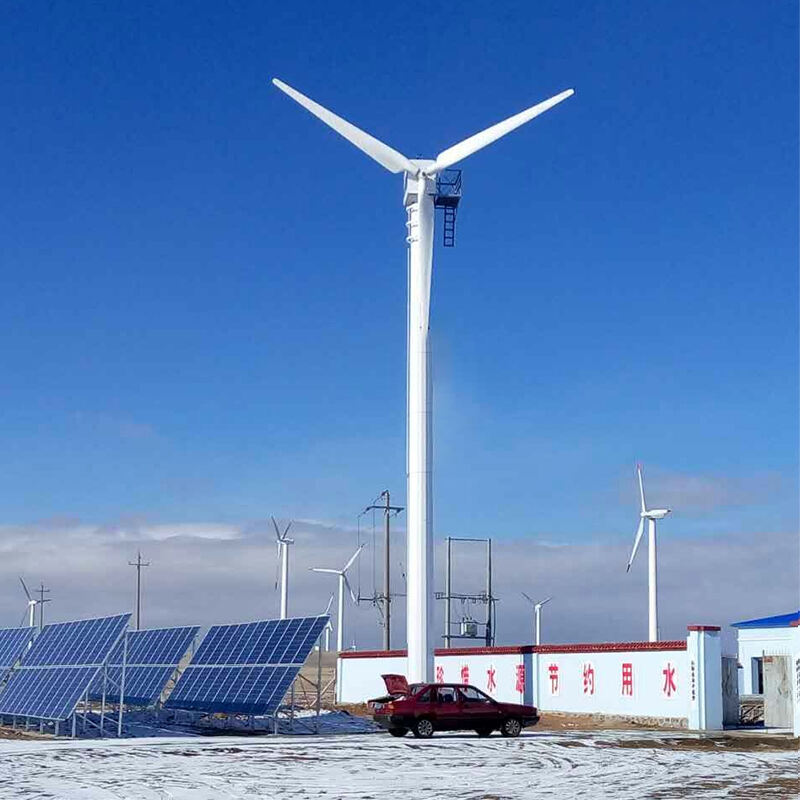 Hệ Thống Điện Hybrid Năng Lượng Mặt Trời Và Gió: Kết Hợp Lợi Ích Kinh Tế Và Bảo Vệ Môi Trường