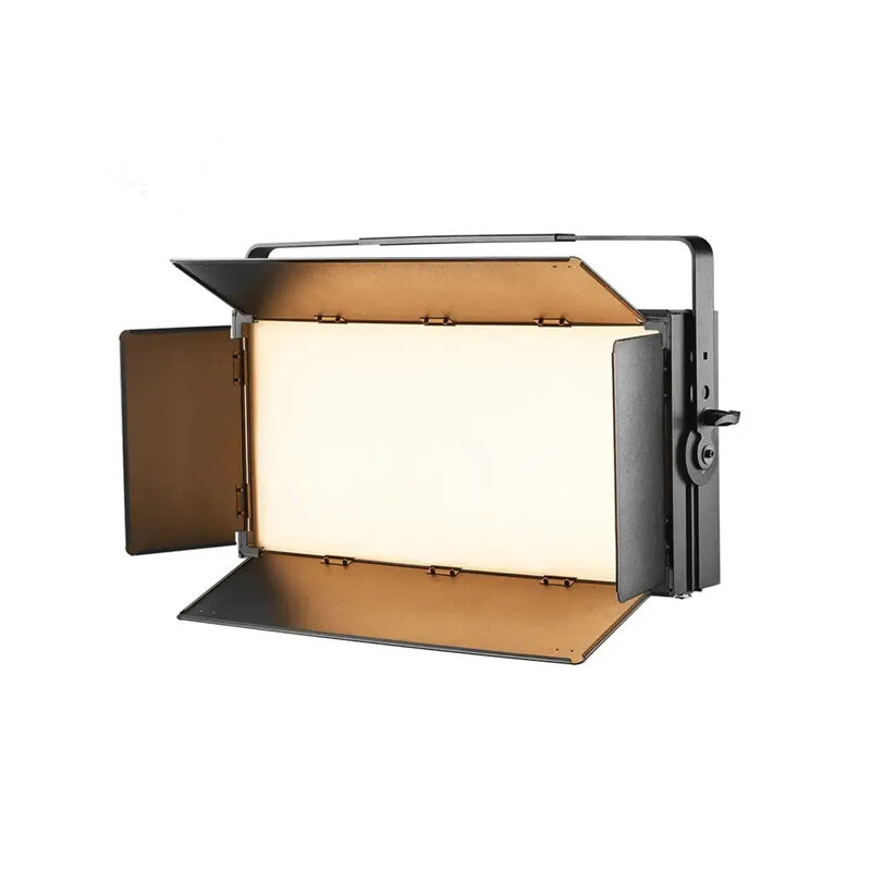 Panel Light.jpg