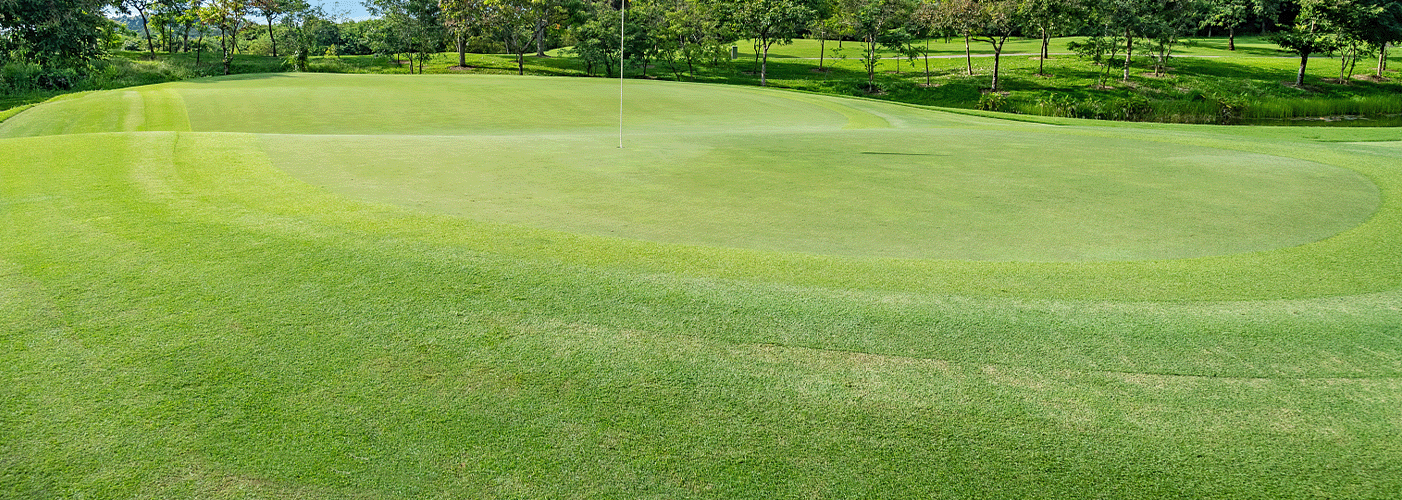 Machine Vision (4)(0a7792b3a5).png