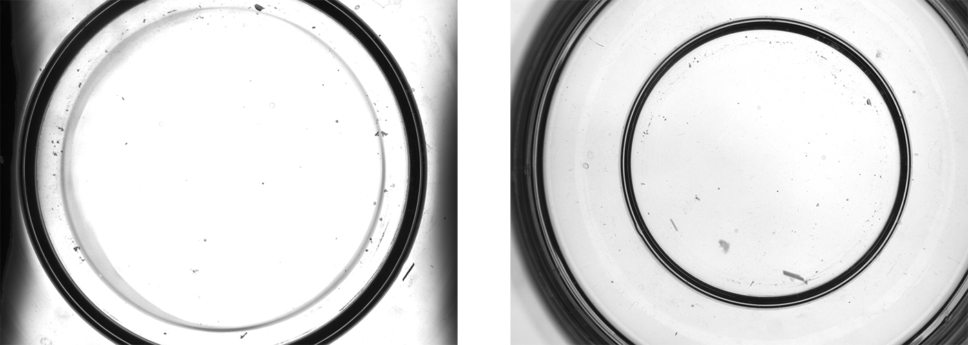 Machine Vision (2)(c496239540).png