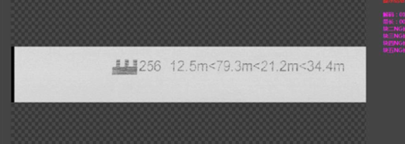 Line Scanner Camera (4).png