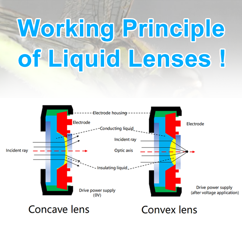 Principe de Fonctionnement des Lentilles Liquides et Différences avec les Lentilles Conventiennelles