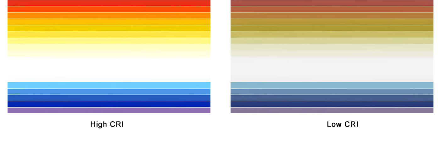 Machine Vision Lighting (5).png