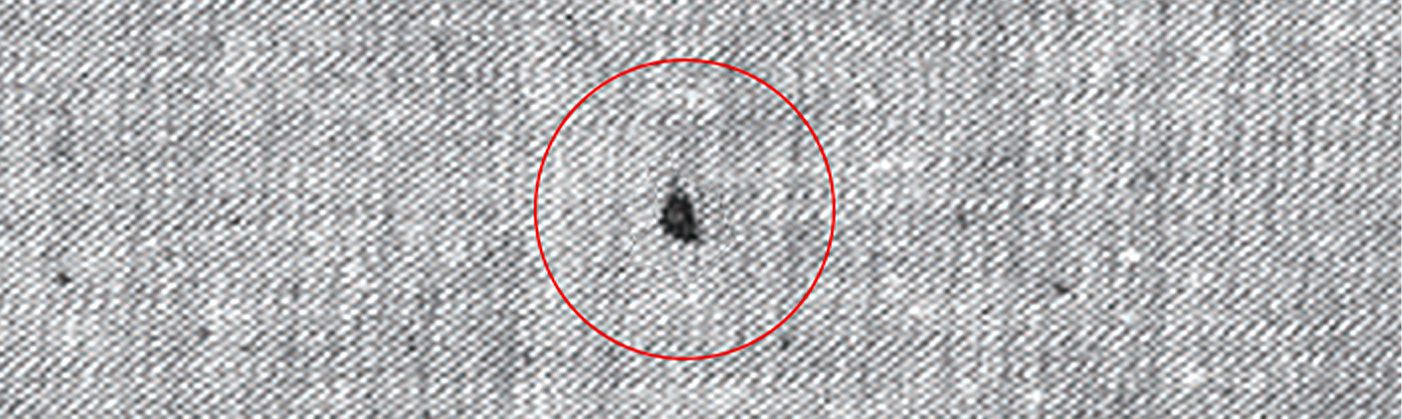 Tips for Selecting the Right Line Scan Camera-5.png