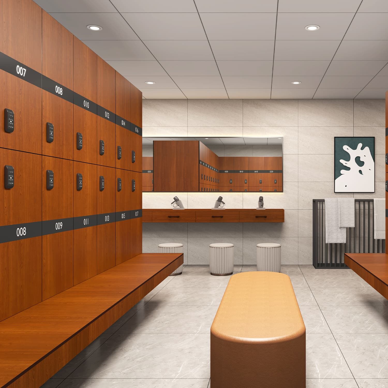 High-Durability HPL Locker for Hospitals & Gyms, Moisture-Resistant Commercial Storage Solution