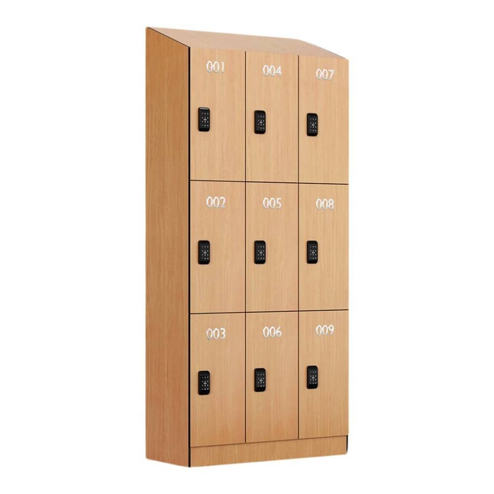 Customizable Sloping Top Locker for Offices & Gyms, Moisture-Resistant ...