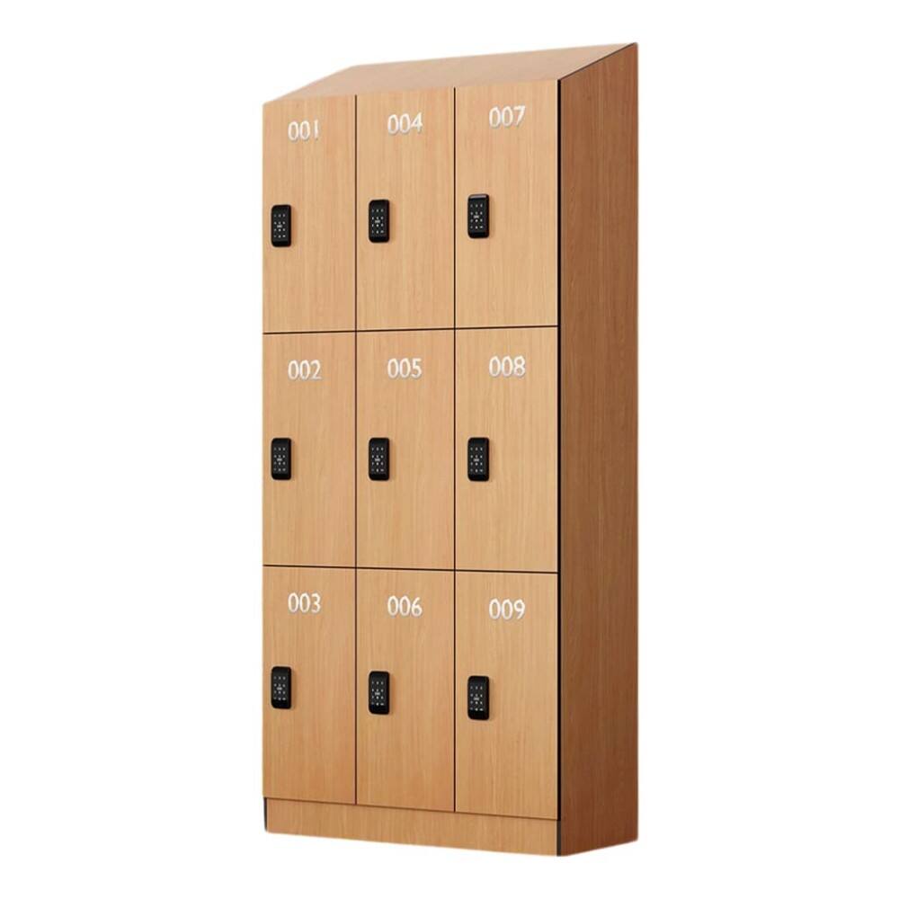 Customizable Sloping Top Locker for Offices & Gyms, Moisture-Resistant ...