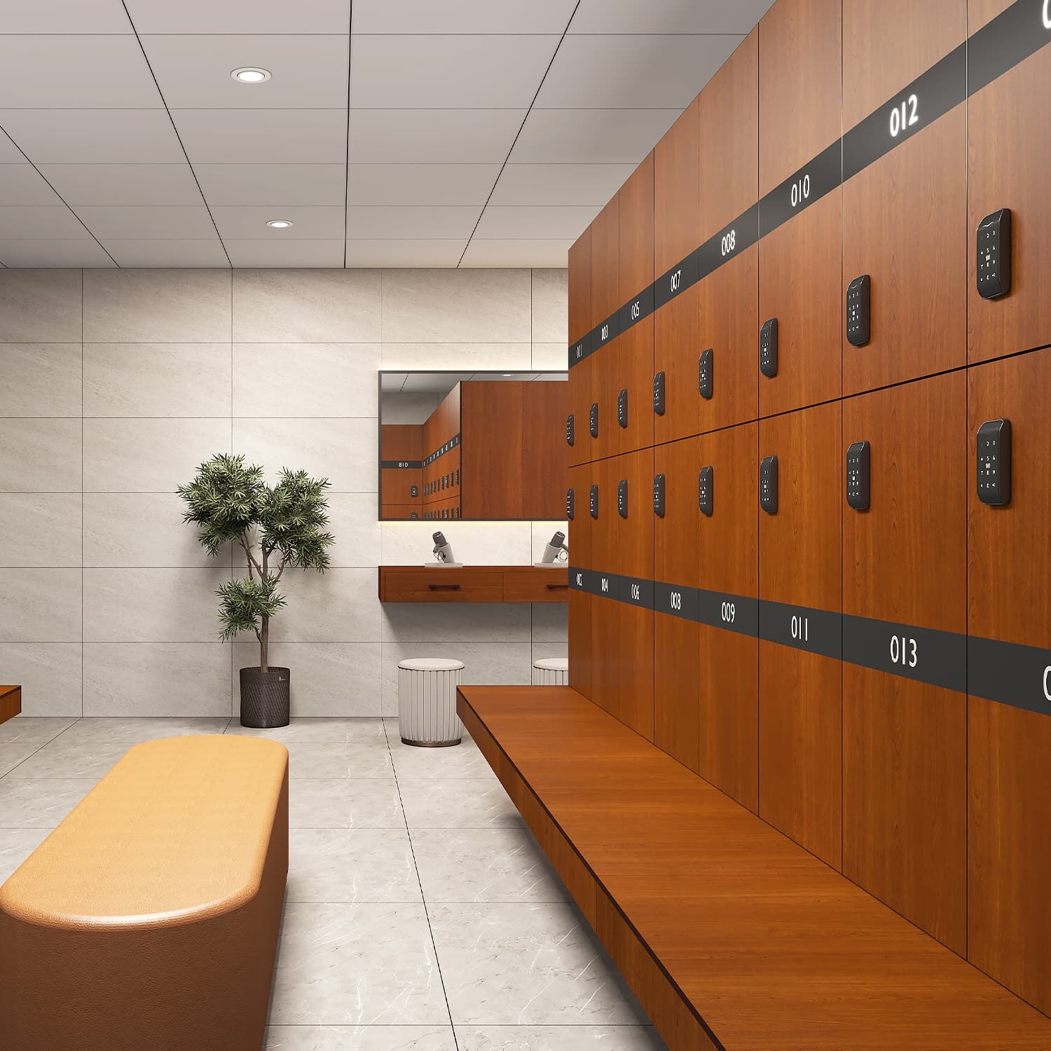 Moisture-Resistant HPL Locker for Fitness Centers & Schools, Durable ...