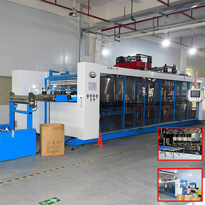 Leading the Green Trend: The Eco-Friendly Revolution of Disposable Household Products