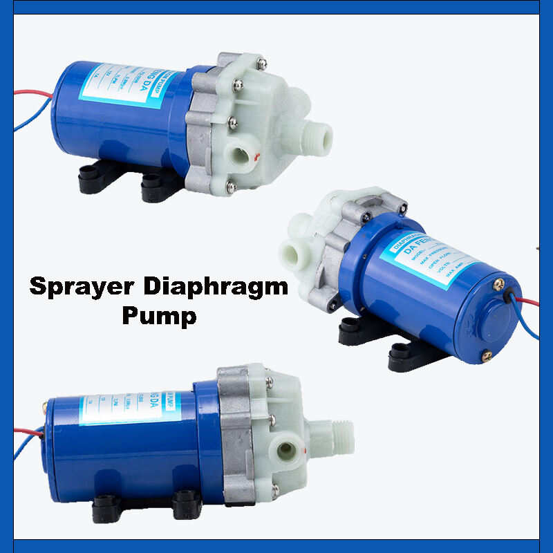 What You Need to Know About Diaphragm Pump for Sprayers