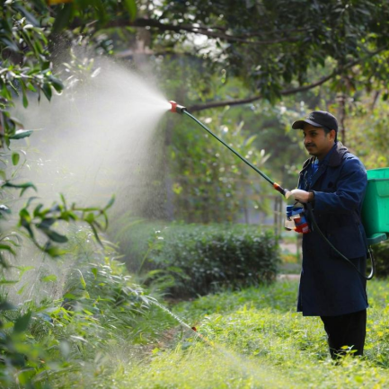 Choosing the Right Backpack Sprayer for Your Gardening Needs