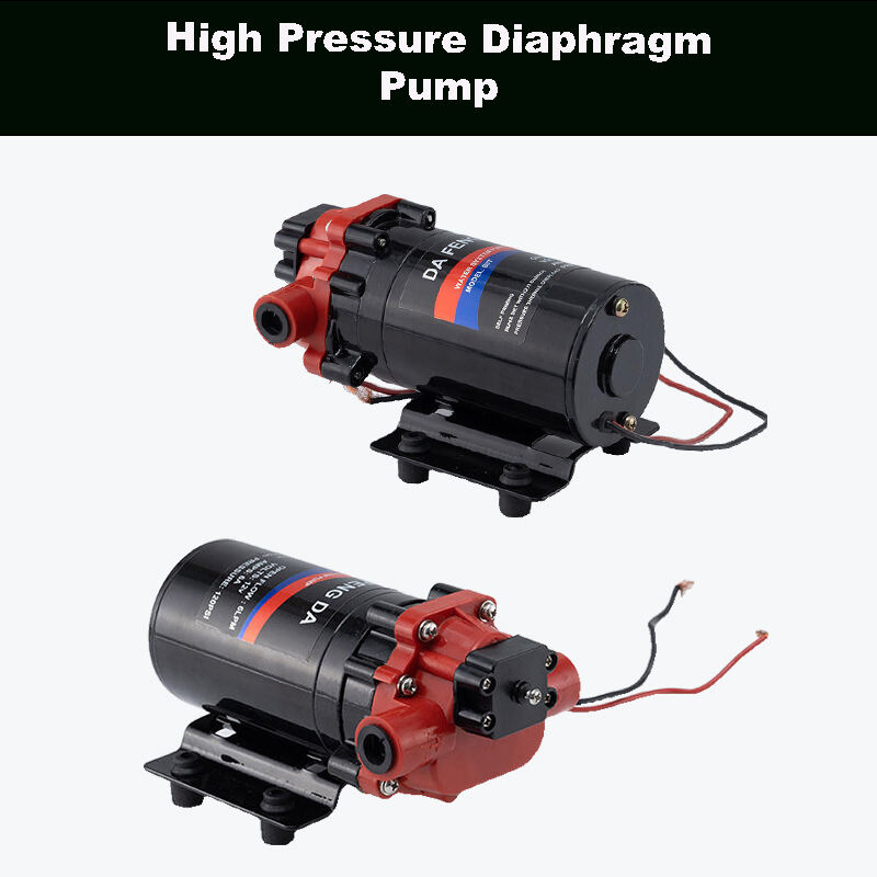 High Pressure Diaphragm Pump That Involves Precision Control