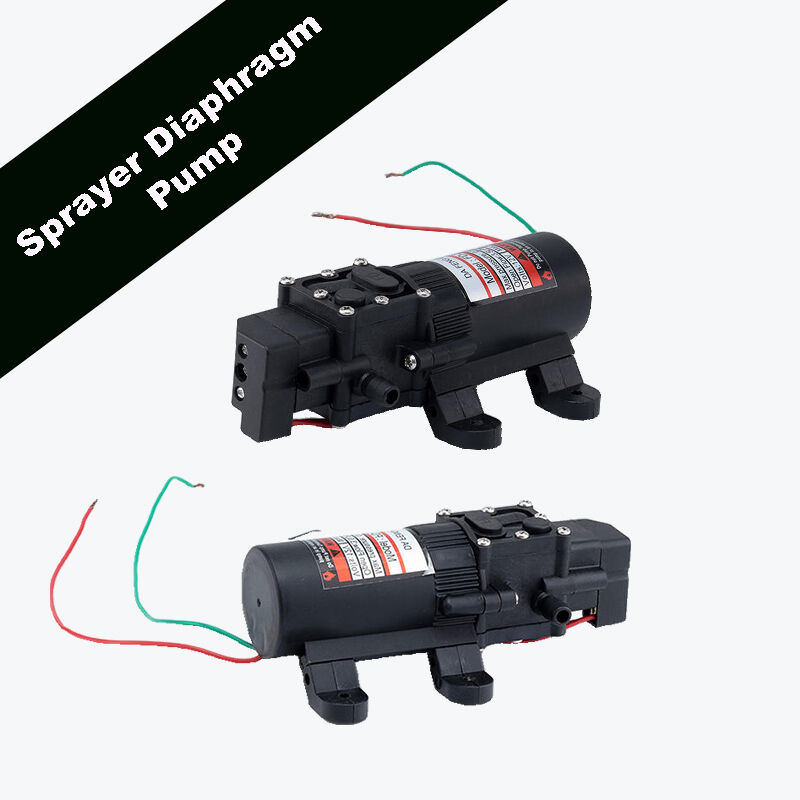 खुला खेती जल स्थानान्तरण अनुप्रयोगहरूमा डायाफ्राम पम्पको टिकाउपन