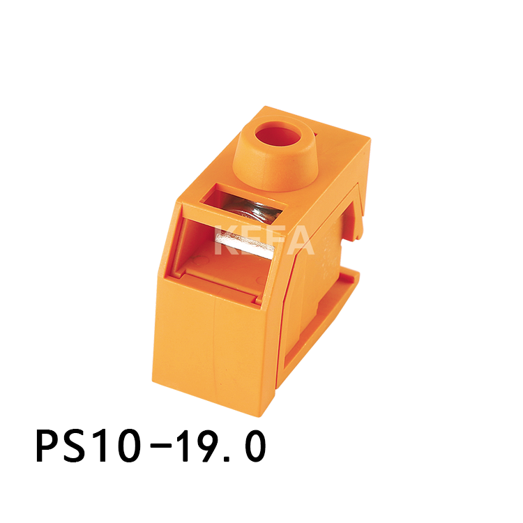 PS10-19.0