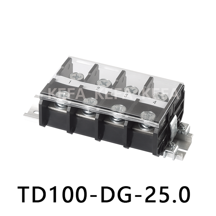 TD100-DG-25.0