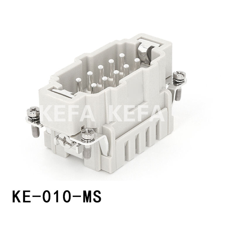 KE-010-MS