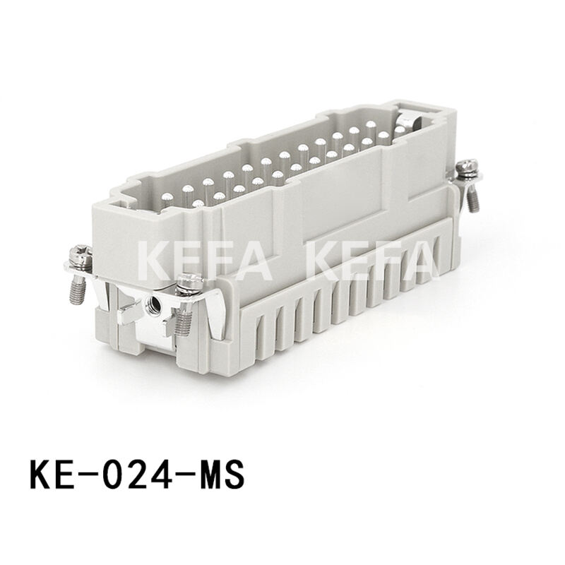 KE-024-MS