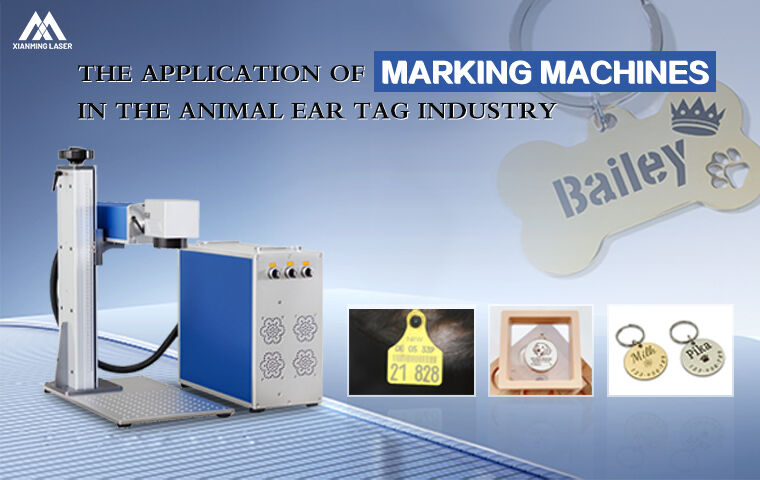 Laser Marking Technology for Animal Ear Tags Xianming Laser Applications