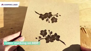 MDF용 이지 마킹 레이저 마킹 머신 -- 전문 레이저 장비 공급업체
