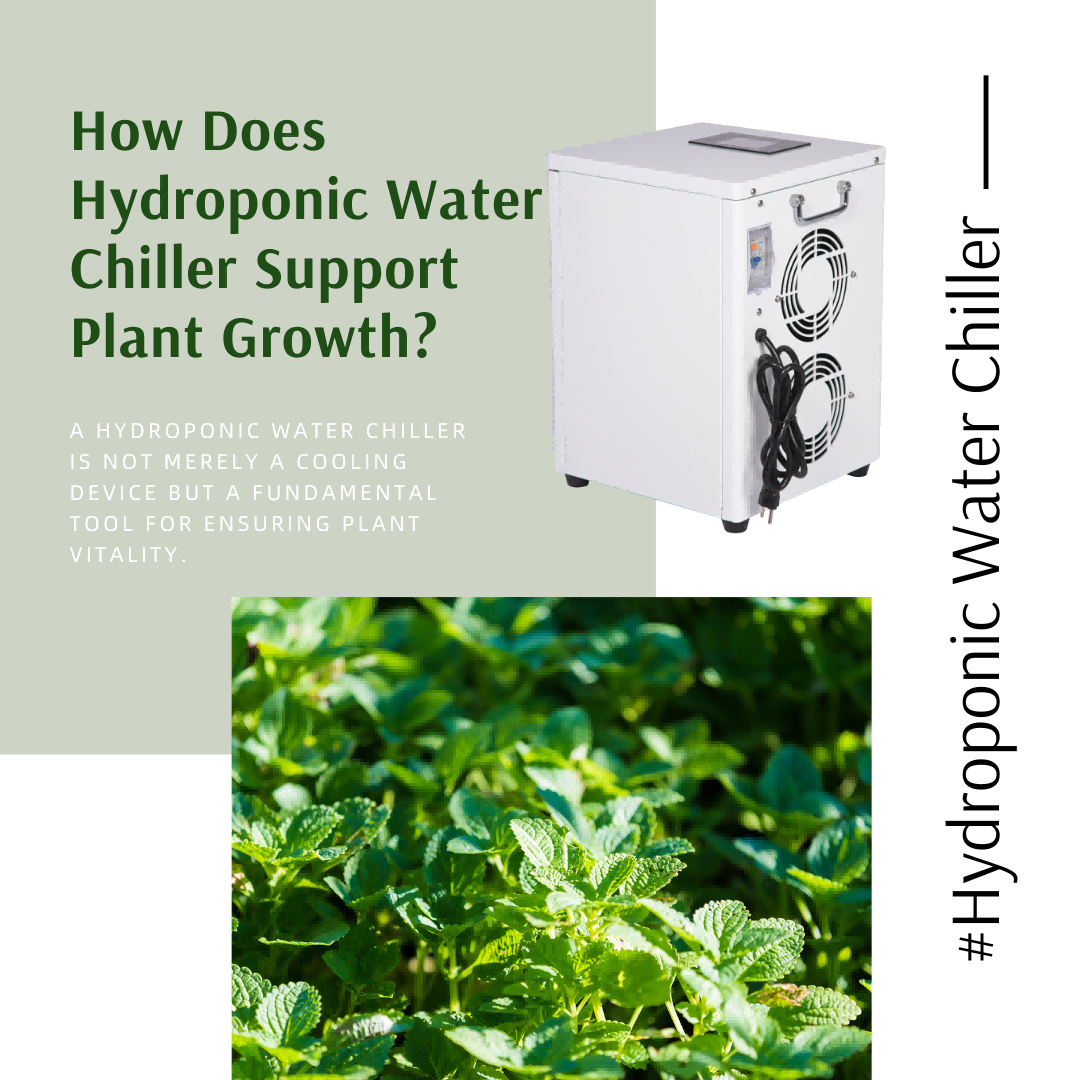 เครื่องทำความเย็นน้ำไฮโดรโปนิกส์ช่วยสนับสนุนการเจริญเติบโตของพืชอย่างไร?