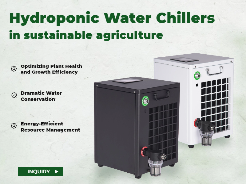 Ang Papel ng Hydroponic Water Chillers sa Mabulig na Agrikultura