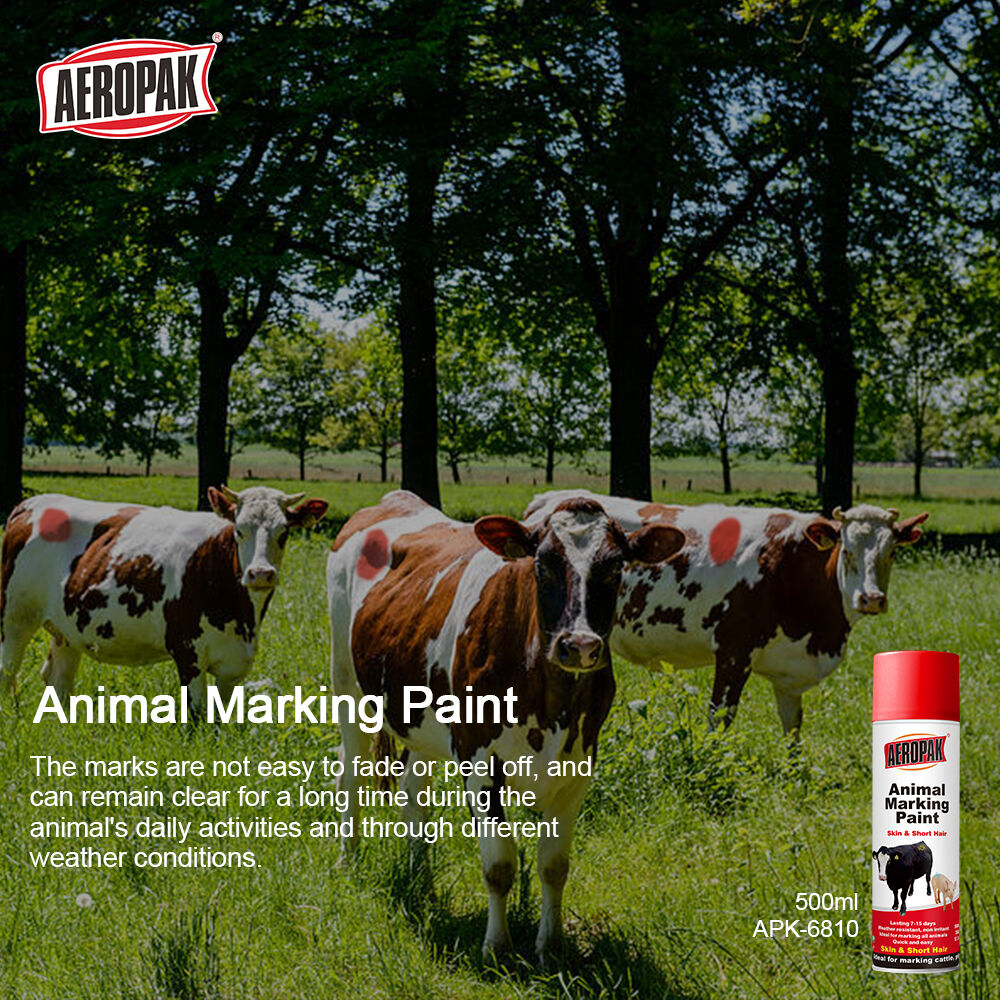 Sistema Multietapas de Correção de Pintura