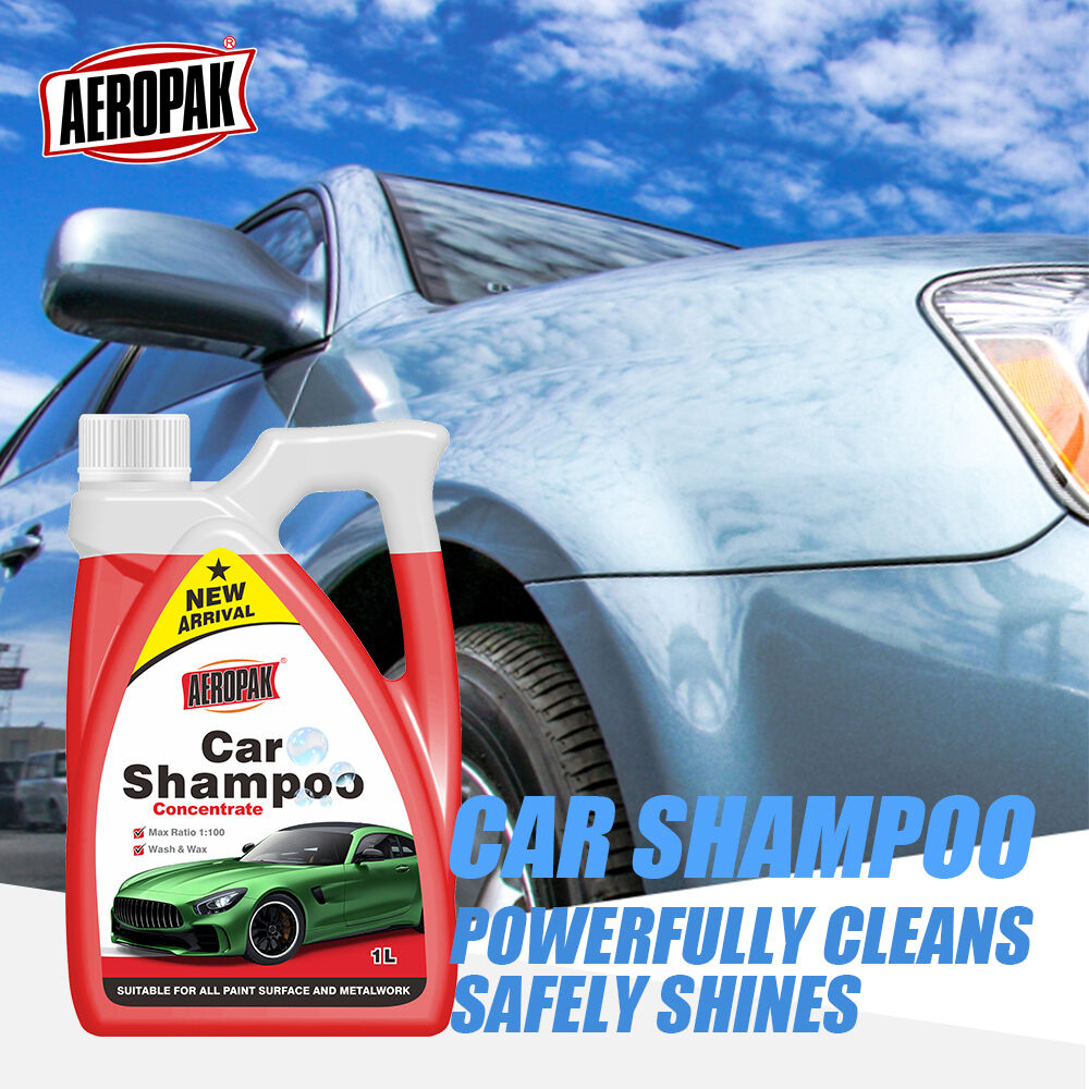 Professional Car Interior Cleaning Machine - Advanced Steam ...