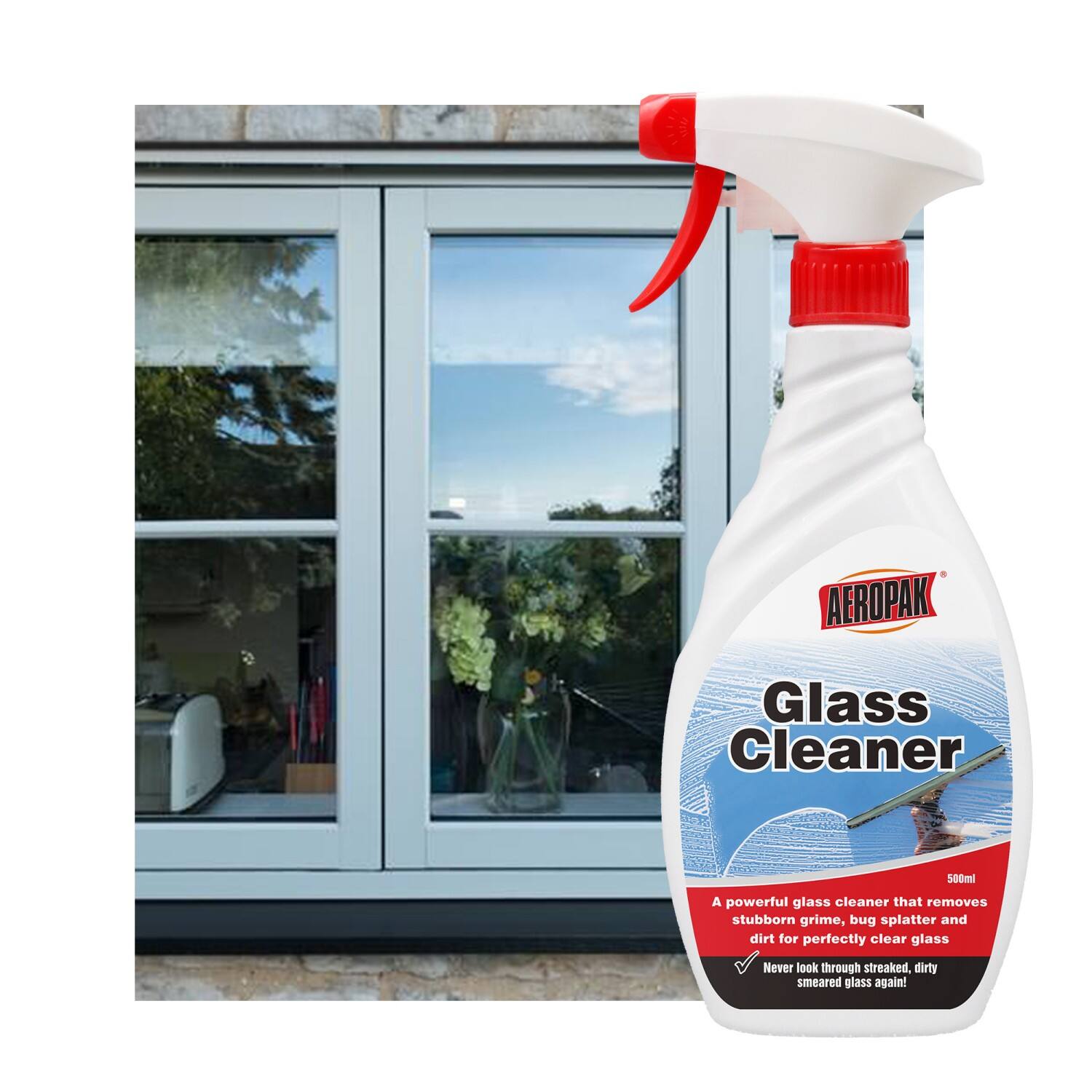 glass cleaner 16.jpg