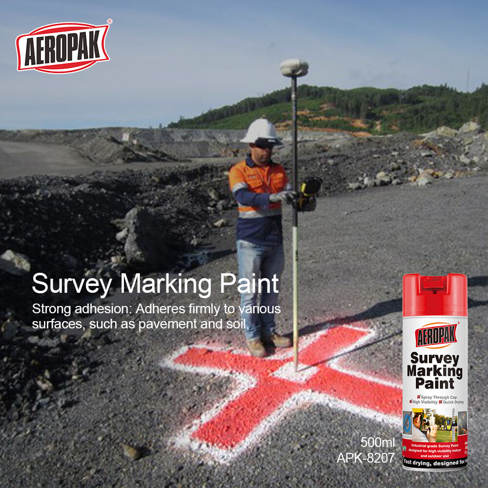 survey paint 7.jpg