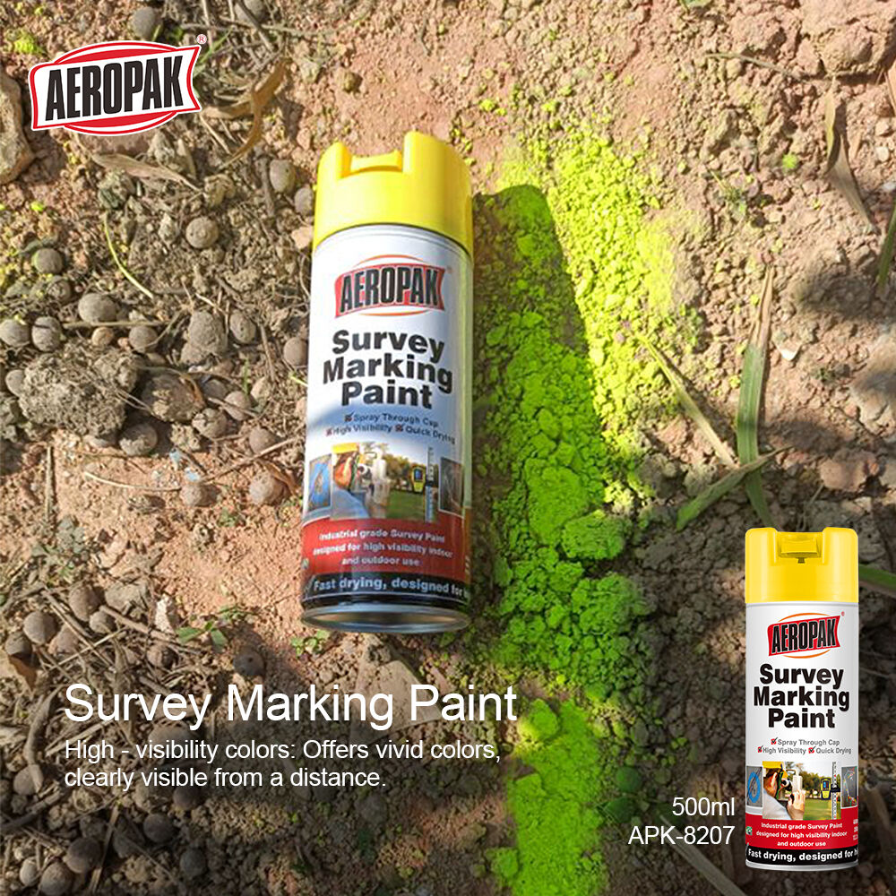 survey paint 8.jpg
