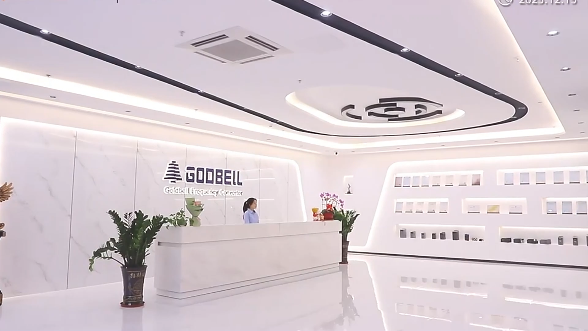 Company Environment