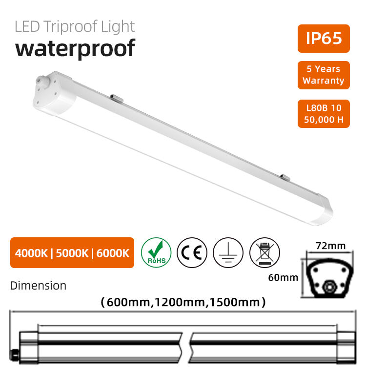 TP018 Triproof Light factory