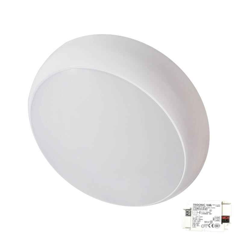 Gotall LED Ceiling Lights Enhance Your Space with Efficient Illumination